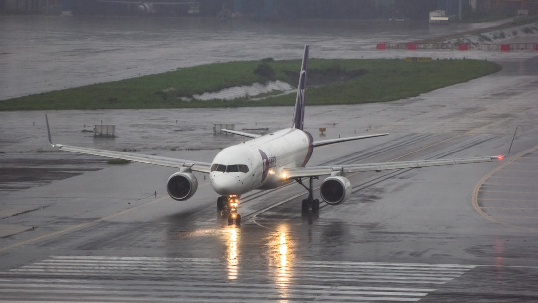 Graphic T Shirts for Men, Graphic T Shirts for Women, Anime Meme T Shirts, Unique Graphic Tees, Retro T Shirts, Vintage T Shirts, Pop Culture T Shirts, 90s Meme T Shirts